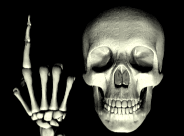 aniskull.gif (11724 bytes)